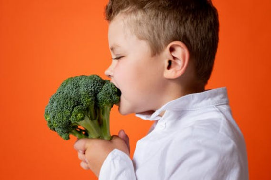 The Ultimate Guide to Early Childhood Feeding: Chewing Development, Independent Eating, and Essential Nutrition