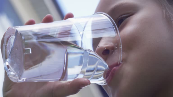 The Ultimate Guide to Cellular Hydration and Plant-Based Protein Optimization