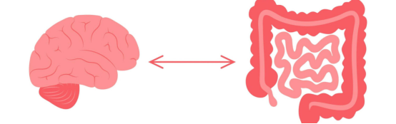The Gut-Brain Axis: Impact of Diet and Preservatives on Mental Health